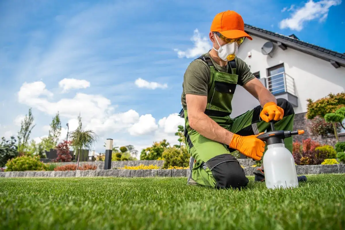 Technician treating weeds in a garden bed beside a house